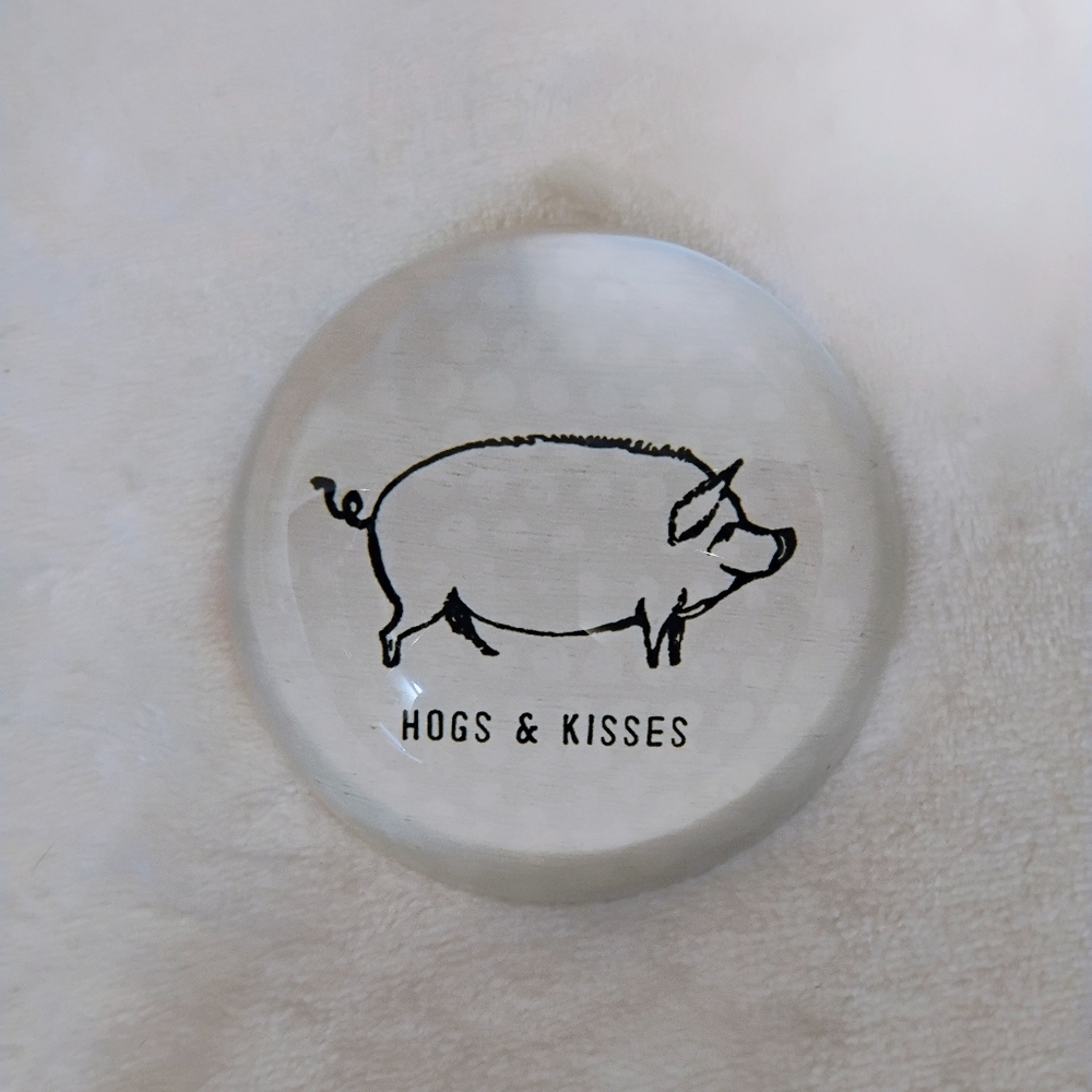 Sugarboo Designs Hogs & Kisses Pig Glass Paperweight Dome Desk Decor
